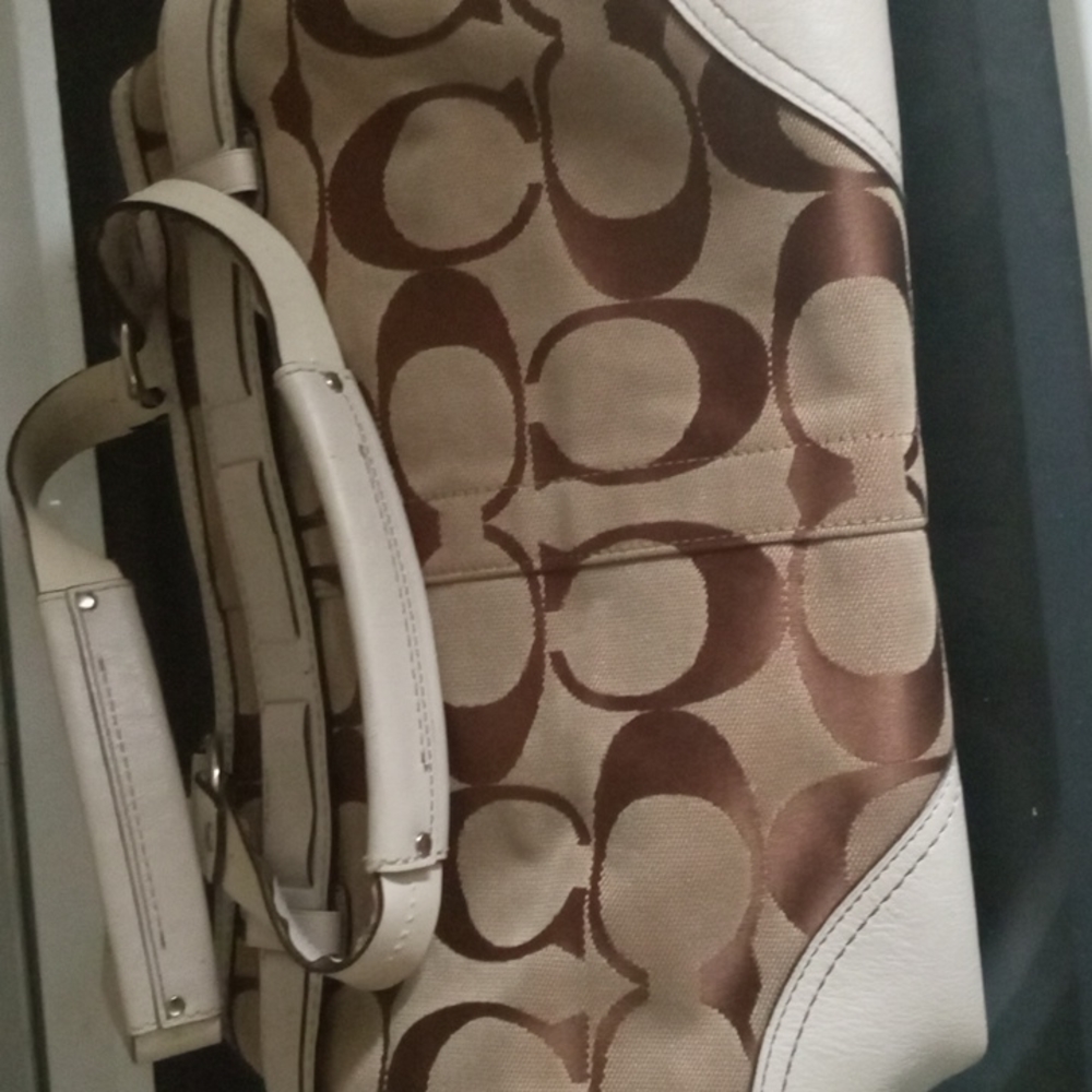 Coach Signature C Python Middle Bag - image 4